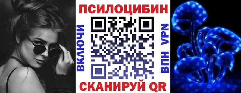 как найти закладки  Павловская  Псилоцибиновые грибы мухоморы 